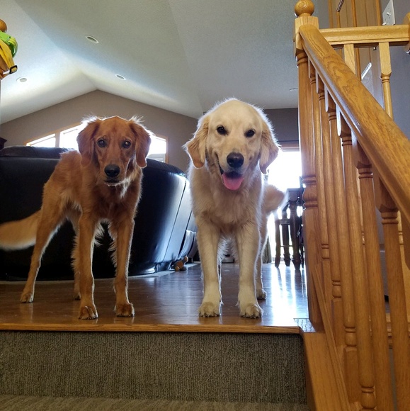 Meet your Posher, Deb - Picture 1 of 1